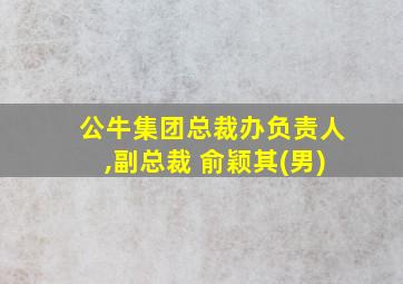 公牛集团总裁办负责人,副总裁 俞颖其(男)